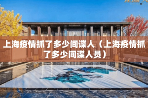 上海疫情抓了多少间谍人（上海疫情抓了多少间谍人员）