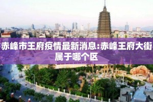 赤峰市王府疫情最新消息:赤峰王府大街属于哪个区