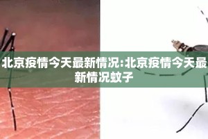 北京疫情今天最新情况:北京疫情今天最新情况蚊子