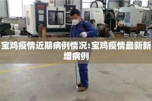 宝鸡疫情近期病例情况:宝鸡疫情最新新增病例