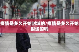 疫情是多久开始封城的/疫情是多久开始封城的呢