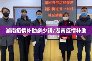 湖南疫情补助多少钱/湖南疫情补助