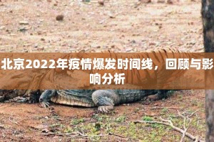 北京2022年疫情爆发时间线，回顾与影响分析