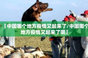 【中国哪个地方疫情又起来了/中国哪个地方疫情又起来了呢】