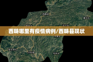 西畴哪里有疫情病例/西畴县现状