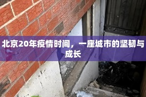 北京20年疫情时间，一座城市的坚韧与成长