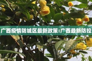广西疫情防城区最新政策:广西最新防控