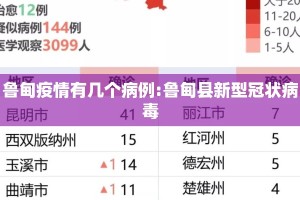 鲁甸疫情有几个病例:鲁甸县新型冠状病毒