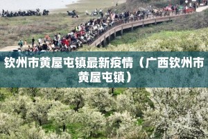 钦州市黄屋屯镇最新疫情（广西钦州市黄屋屯镇）