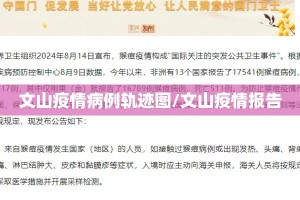 文山疫情病例轨迹图/文山疫情报告