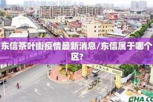 东信茶叶街疫情最新消息/东信属于哪个区?