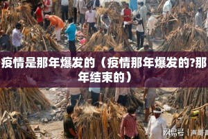 疫情是那年爆发的（疫情那年爆发的?那年结束的）
