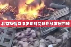 北京疫情首次发现时间及后续发展回顾