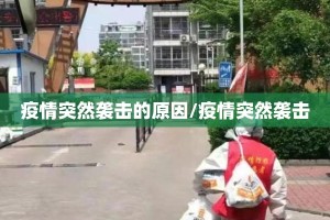 疫情突然袭击的原因/疫情突然袭击