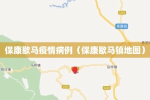 保康歇马疫情病例（保康歇马镇地图）
