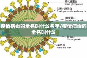 疫情病毒的全名叫什么名字/疫情病毒的全名叫什么