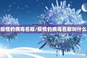 疫情的病毒名称/疫情的病毒名称叫什么