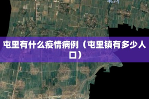 屯里有什么疫情病例（屯里镇有多少人口）
