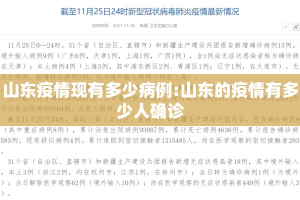 山东疫情现有多少病例:山东的疫情有多少人确诊