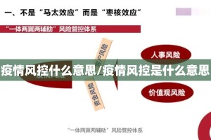 疫情风控什么意思/疫情风控是什么意思