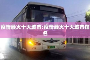 疫情最火十大城市:疫情最火十大城市排名