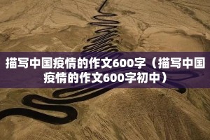 描写中国疫情的作文600字（描写中国疫情的作文600字初中）