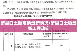 萧县白土镇疫情最新情况:萧县白土镇最新工程动向