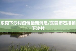 东莞下沙村疫情最新消息/东莞市石排镇下沙村