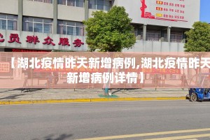 【湖北疫情昨天新增病例,湖北疫情昨天新增病例详情】