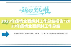 2023年疫情全面解封工作总结报告/2023年疫情全面解封工作总结