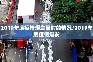 2019年底疫情爆发当时的情况/2019年底疫情爆发