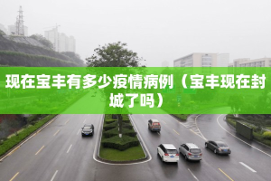 现在宝丰有多少疫情病例（宝丰现在封城了吗）