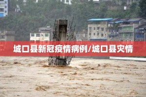 城口县新冠疫情病例/城口县灾情
