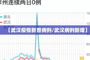【武汉疫情新曾病例/武汉病例新增】