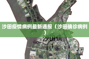 沙田疫情病例最新通报（沙田确诊病例）
