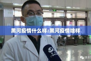 黑河疫情什么样:黑河疫情啥样