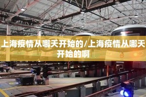 上海疫情从哪天开始的/上海疫情从哪天开始的啊