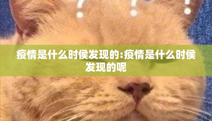 疫情是什么时侯发现的:疫情是什么时侯发现的呢