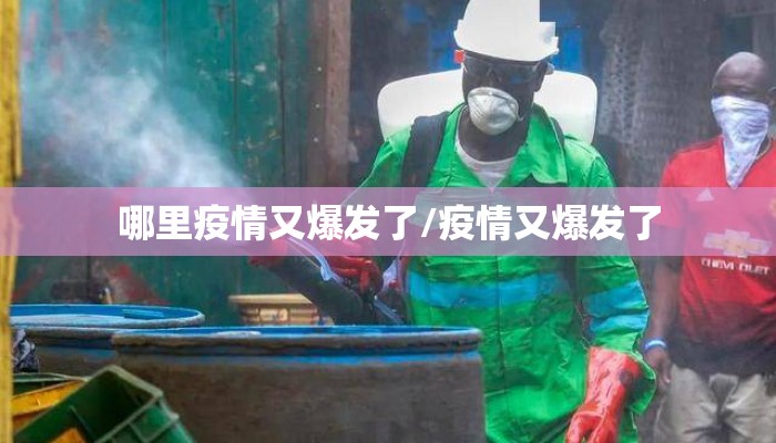 哪里疫情又爆发了/疫情又爆发了
