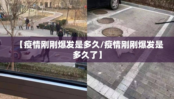【疫情刚刚爆发是多久/疫情刚刚爆发是多久了】