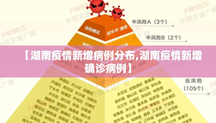 【湖南疫情新增病例分布,湖南疫情新增确诊病例】
