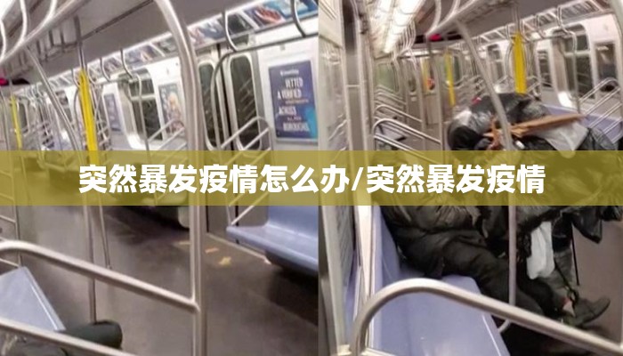 突然暴发疫情怎么办/突然暴发疫情