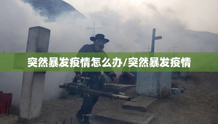 突然暴发疫情怎么办/突然暴发疫情