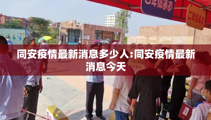 同安疫情最新消息多少人:同安疫情最新消息今天