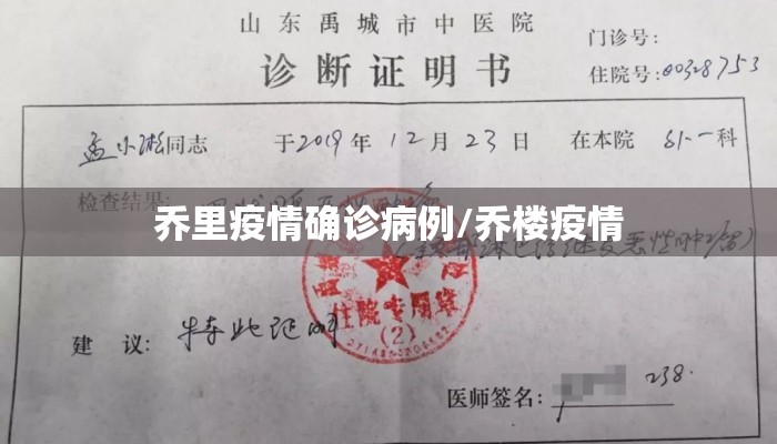 乔里疫情确诊病例/乔楼疫情