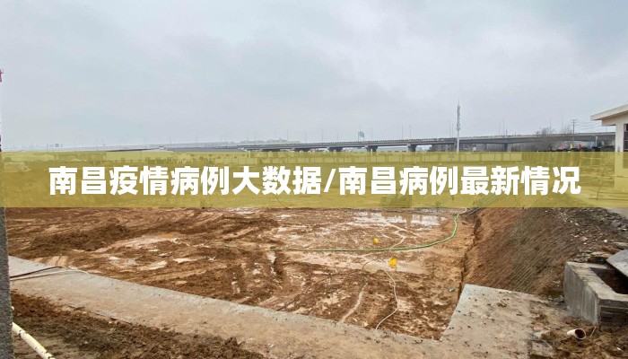 南昌疫情病例大数据/南昌病例最新情况