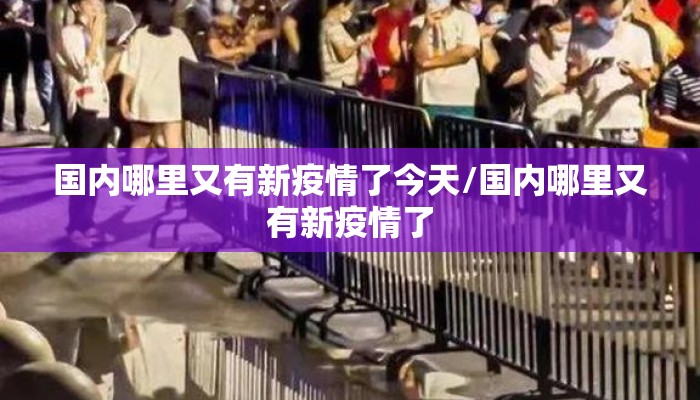 国内哪里又有新疫情了今天/国内哪里又有新疫情了