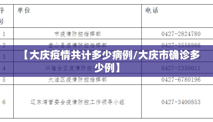【大庆疫情共计多少病例/大庆市确诊多少例】