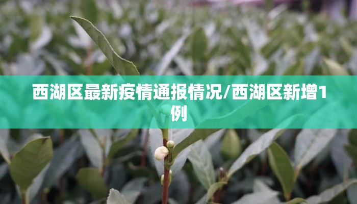 西湖区最新疫情通报情况/西湖区新增1例