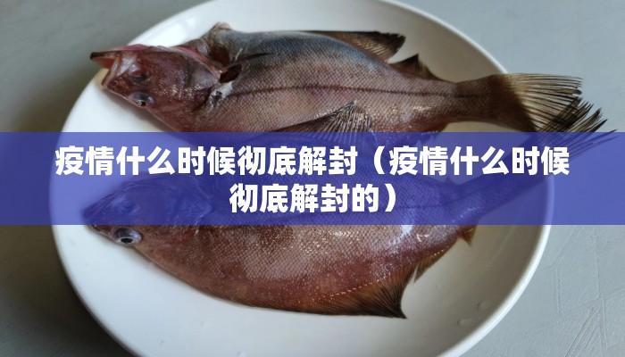 疫情什么时候彻底解封（疫情什么时候彻底解封的）